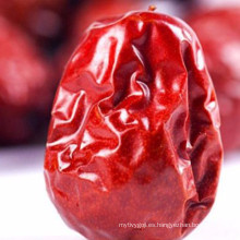 Fruta de azufaifa roja seca, fechas de azufaifa roja seca fruta de azufaifo / dátiles rojos